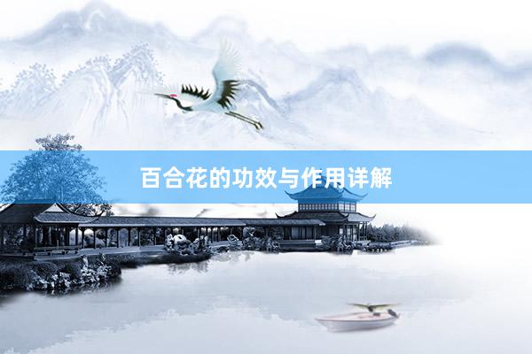 百合花的功效与作用详解
