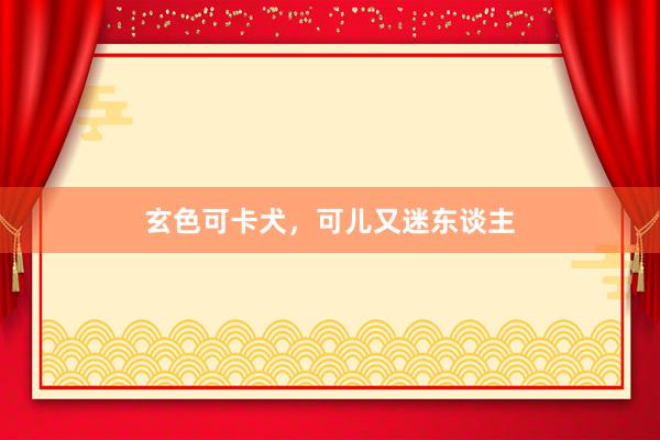 玄色可卡犬，可儿又迷东谈主
